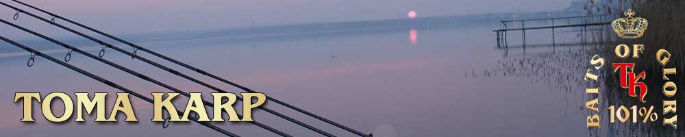 header_03